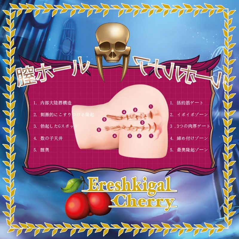 Translation missing: ro-RO.general.accessibility.slide_image